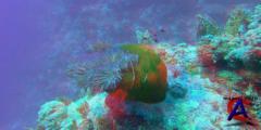     3D / OceanWorld 3D