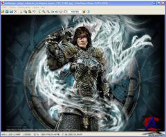 IrfanView 4.25
