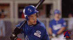  / Summer Catch