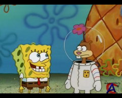    / SpongeBob SquarePants (1 ) [41-41]