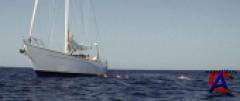  (  2) / Open Water 2 - Adrift