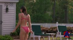   / Summer Catch