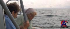  2 / Jaws 2