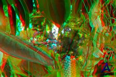 ! 3D / Bugs! 3D