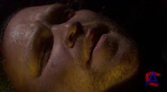   2:   / Starship Troopers 2: Hero of the Federation
