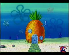     / SpongeBob SquarePants (3 ) [37-37]