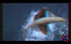NG -   3D:   / Sea Monsters: A Prehistoric Adventure