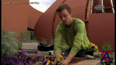    / Breaking Bad (3 )
