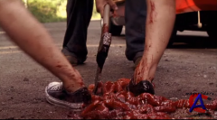    2:  / Wrong Turn 2: Dead End