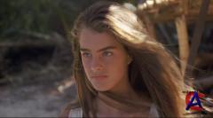   / Blue Lagoon, The