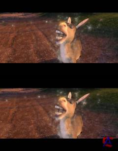  3D / Shrek 3D
