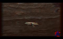 NG -   3D:   / Sea Monsters: A Prehistoric Adventure