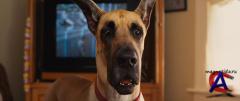  / Marmaduke