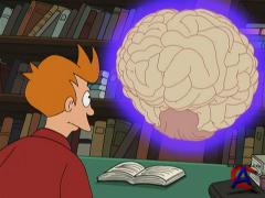  / Futurama (5 )
