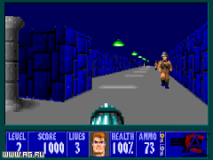 Wolfenstein  (9  1)