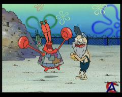     / SpongeBob SquarePants (5 ) [36-40]