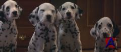 101  / 101 Dalmatians