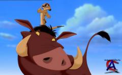   2:   / Lion King II: Simbas Pride, The