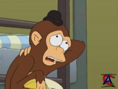  / Futurama (1 )
