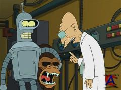  / Futurama (3 )
