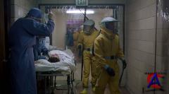  / Outbreak