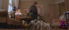 101  / 101 Dalmatians