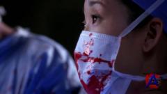   / Greys Anatomy (3 )