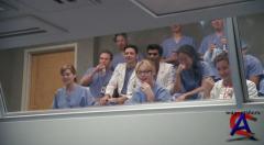   / Greys Anatomy (1 )