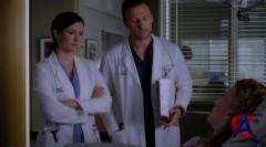   / Greys Anatomy (6 )