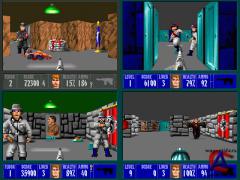 Wolfenstein  (9  1)