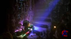  5:  / Leprechaun in the Hood