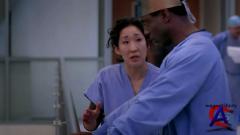   / Greys Anatomy (3 )
