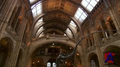 BBC:      / BBC: Charles Darwin and the Tree of Life