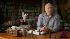 BBC:      / BBC: Charles Darwin and the Tree of Life