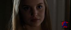  - / American Beauty