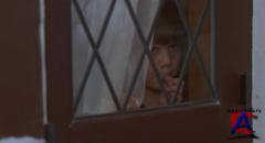   3 / Home Alone 3