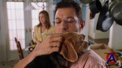    / Cats & Dogs