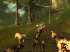 Drakensang: The Dark Eye [RePack  R.G. ]