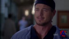   / Greys Anatomy (5 )