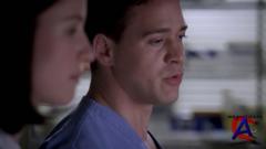   / Greys Anatomy (4 )