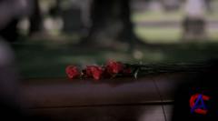   / Greys Anatomy (6 )