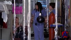   / Greys Anatomy (2 )