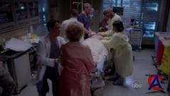   / Greys Anatomy (5 )