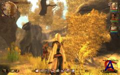 Drakensang: The Dark Eye [RePack  R.G. ]