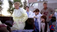   / Greys Anatomy (4 )
