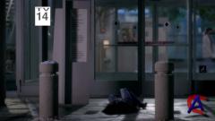   / Greys Anatomy (5 )