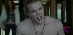   / Vampires Suck