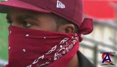 Crips And Bloods: Made In America /   