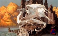 Dangerous Dragons Wallpaper