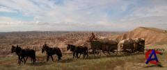    / Dances with Wolves